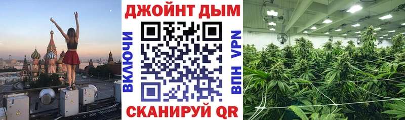 Какие есть наркотики Плавск ГАШИШ  СК  Мефедрон 