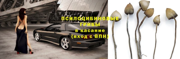 прущие крисы Алзамай