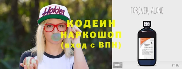 СК Горнозаводск