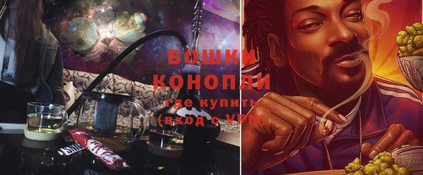 МДПВ Горно-Алтайск