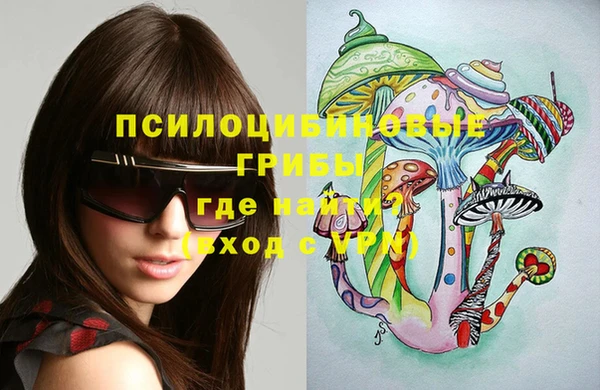соль ск Горняк